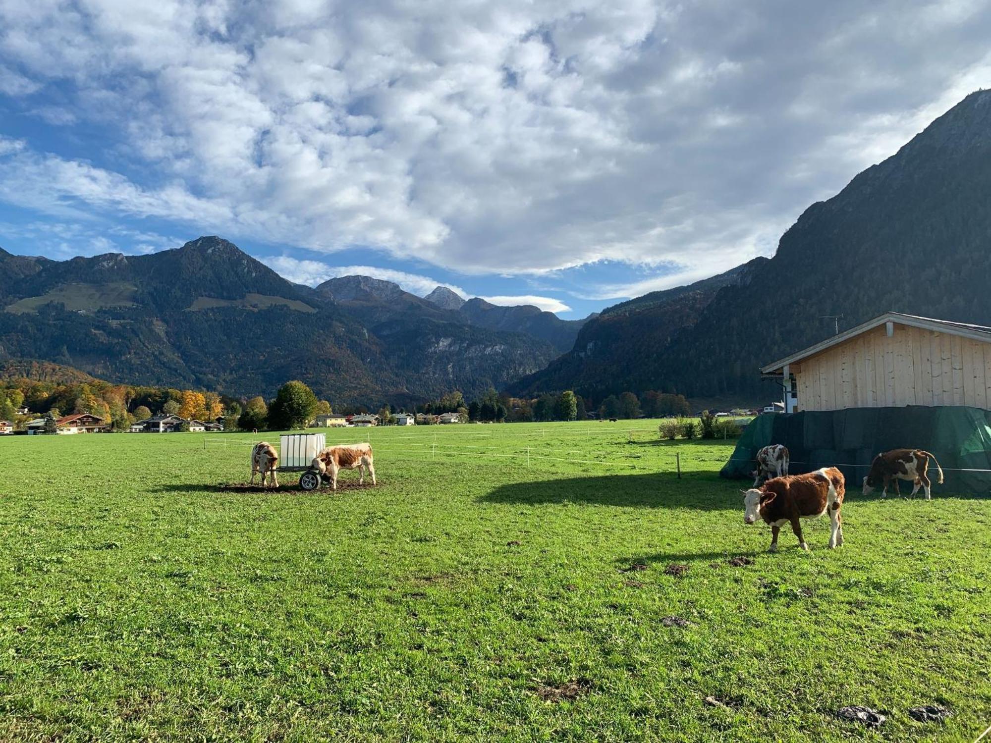 Ferienwohnung Hochkalterblick Schönau am Königssee Esterno foto